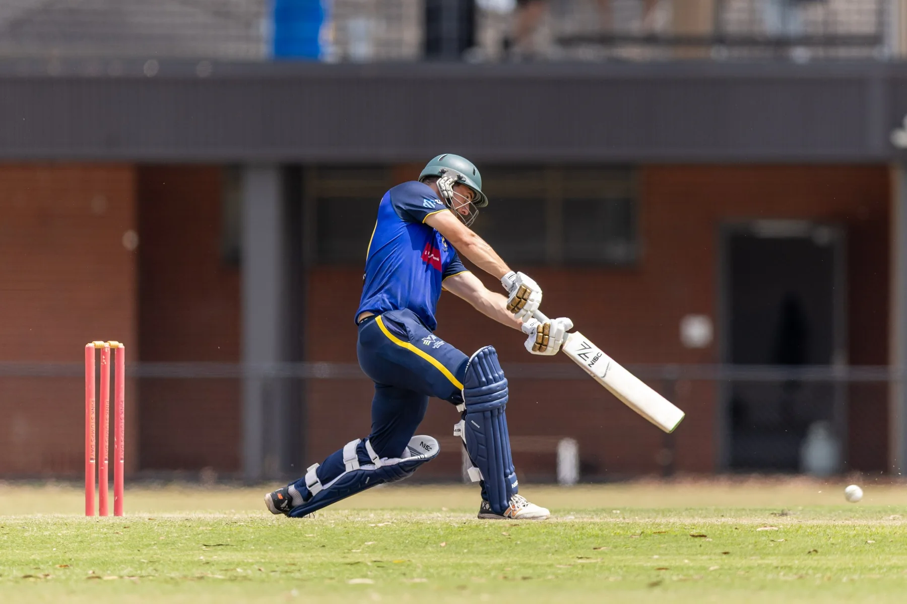 Dingley senior batter in match action