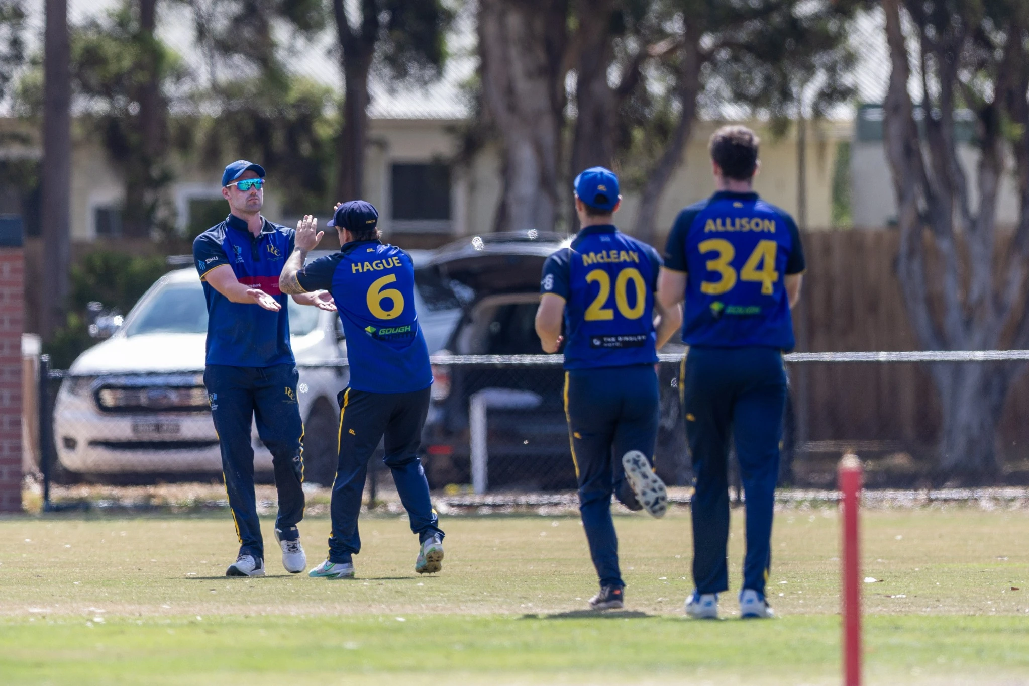 Dingley senior players celebrating together